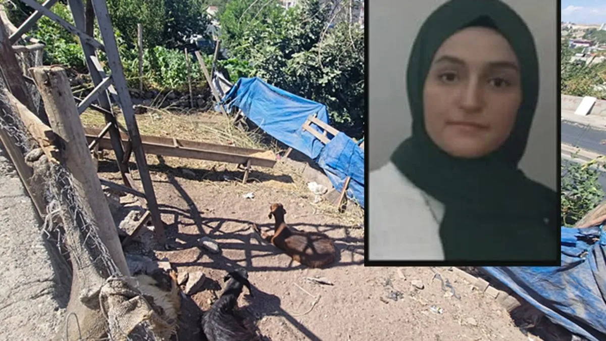 Diyarbakır’da kahreden olay: Keçiye dokunan Pervin hayatını kaybetti!