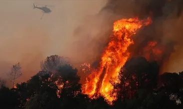 İtalya’da orman yangınları hayatı felç etti