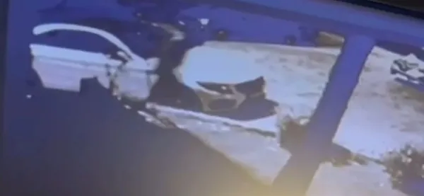 Hırsızlık operasyonu