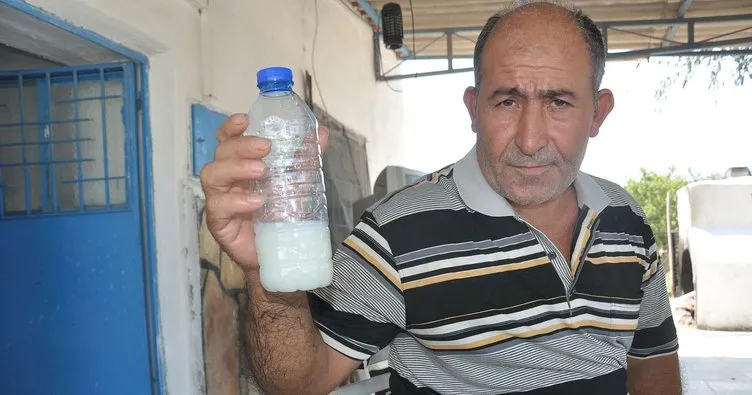 Son Dakika: Kanser hastalarına ücretsiz eşek sütü dağıtıyor