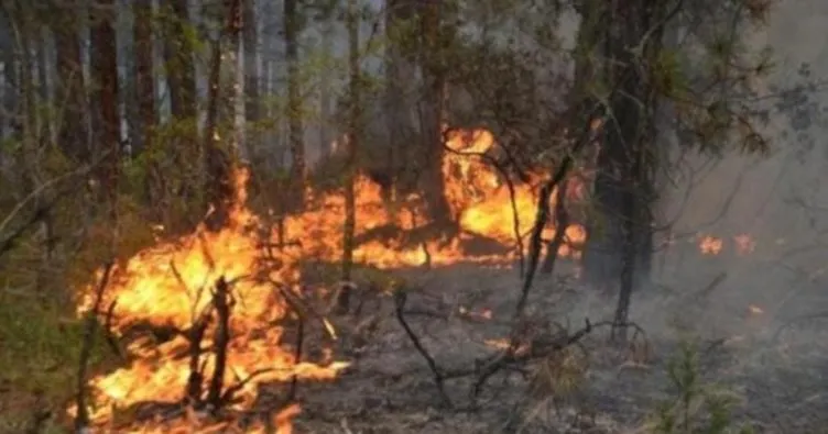 Yunanistan’ın Elis bölgesinde büyük orman yangını