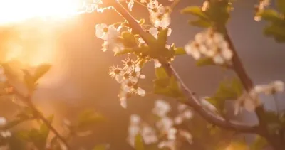 Cemre düşme tarihleri 2026: Havaya, suya, toprağa sırasıyla cemre düşmesi ne zaman?