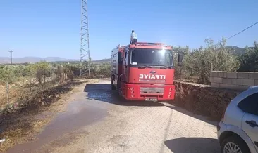 Gaziantep’te zeytinlik alanda çıkan yangın söndürüldü