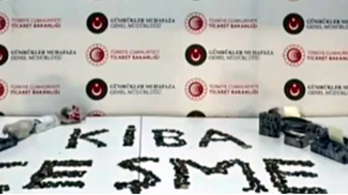 7 bin 550 sikkenin yurt dışına kaçırılması engellendi 7 bin 550 sikkenin yurt dışına kaçırılması engellendi