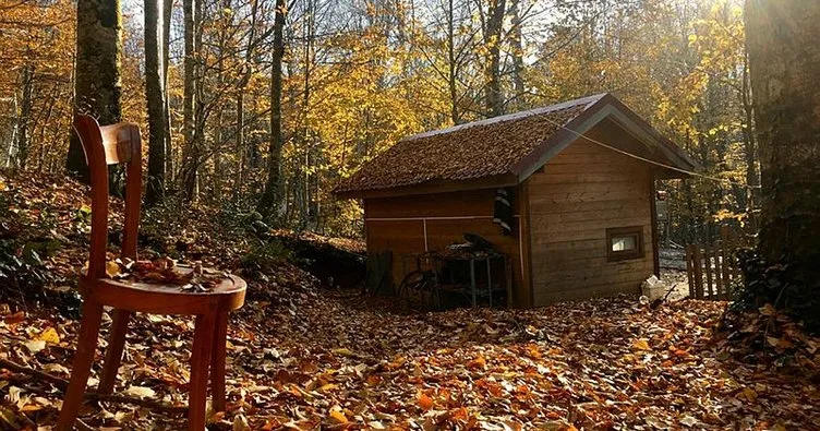 Eriklitepe Tabiat Parkı’nda sonbahar güzelliği