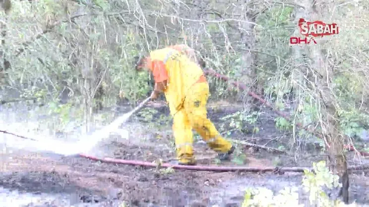 Uludağ eteklerinde orman yangını | Video