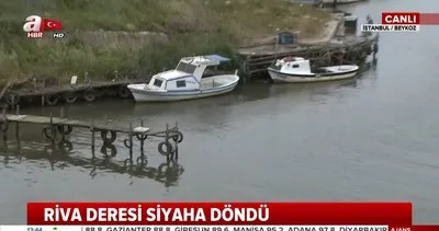 İstanbul Beykoz’daki Riva Deresi neden kirlendi? | Video
