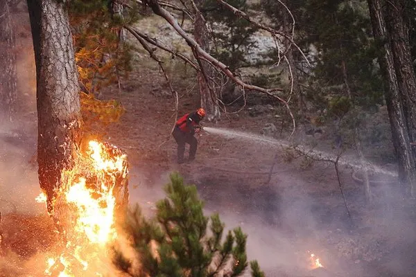 son-dakika-orman-yanginlarinda-son-durum-bakan-yumakli-acikladi-6-ilde-7-yangin-kontrol-altinda-1753519497804.jpg son dakika orman yanginlarinda son durum bakan yumakli acikladi 6 ilde 7 yangin kontrol altinda 1753519497804