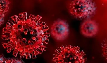 Son Dakika 22 Nisan koronavirüs tablosu duyuruldu! Sağlık Bakanlığı 22 Nisan korona tablosu ile bugünkü Türkiye’de corona virüsü vaka sayısı verileri