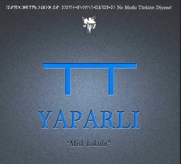 İşte T&#252;rklerin soy ağacının il il listesi! Hangi şehir hangi T&#252;rk boyundan geliyor? İşte detaylı T&#252;rk boyları listesi