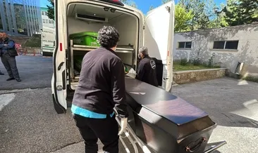 Üç çocuk babası kene kurbanı