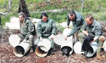 3 bin yıl sonra yeniden