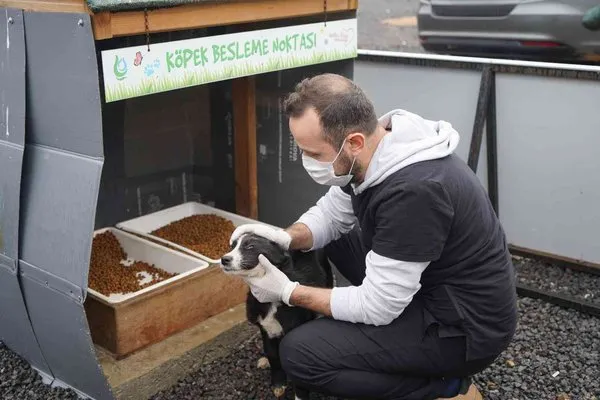 Çayırova Belediyesi’nden sokak hayvanlarına destek
