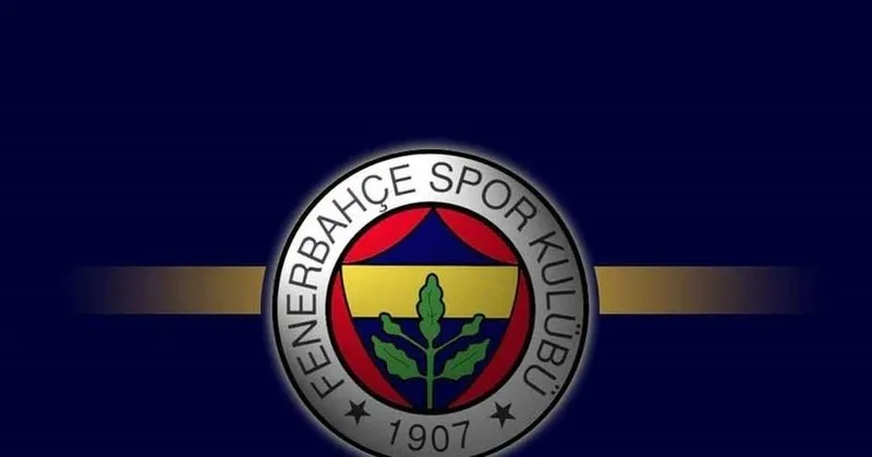 Fenerbahce Ye Pfdk Soku Ali Koc Spor Haberleri