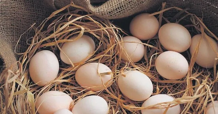 Köy yumurtası hilesi bitiyor