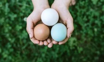 Yumurtaların rengindeki farklılıklar ne anlama gelir? Sebebini duyunca çok şaşıracaksınız...