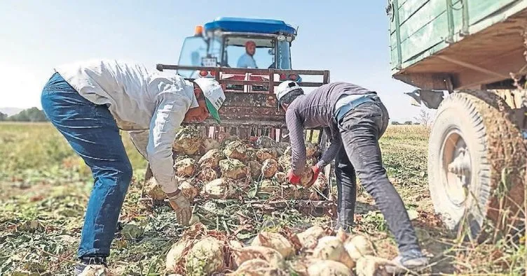 Pancarın zahmetli yolculuğu başladı