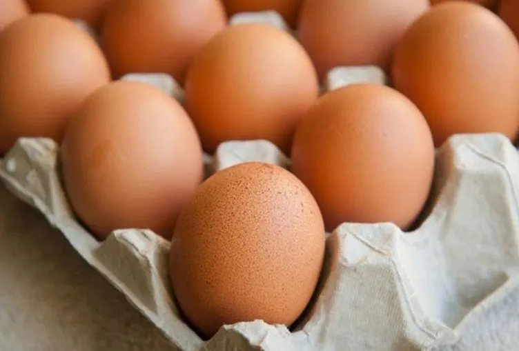 Yumurtaların içinden bakın ne çıktı