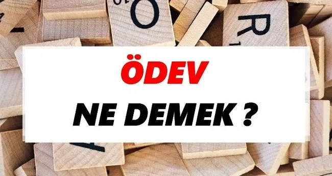 Ödev Ne Demek? TDK’ya Göre Ödev Sözlük Anlamı Nedir?