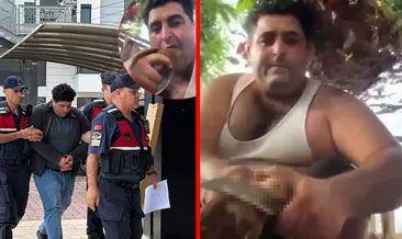 Yer Antalya! Kuşları öldürüp sosyal medyada paylaşmıştı: O vicdansız tutuklandı! #antalya