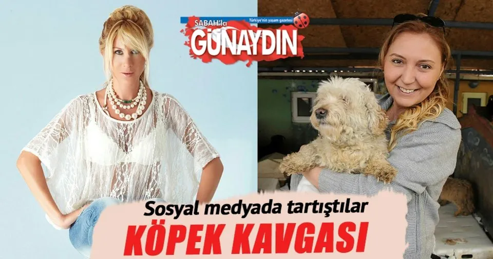 Köpek kavgası Son Dakika Magazin Haberleri