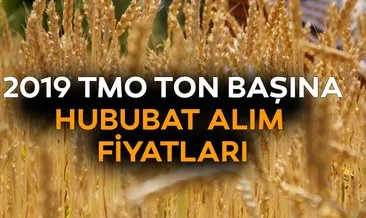 Bu yıl TMO buğday ve arpa alım fiyatları ne kadar? Başkan Erdoğan’dan 2019 hububat fiyatları ve mazot gübre desteği açıklaması