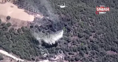 Muğla-Aydın sınırında orman yangını | Video