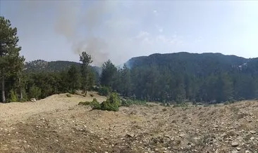 Adana’da yerleşim yeri yakınında çıkan orman yangını kontrol altında