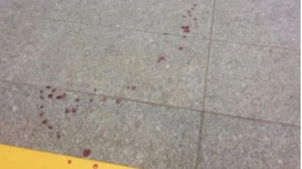 Almanya’da tren istasyonunda silahlı çatışma