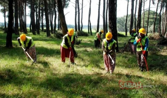 Kamuya 70 bin personel alınacak!