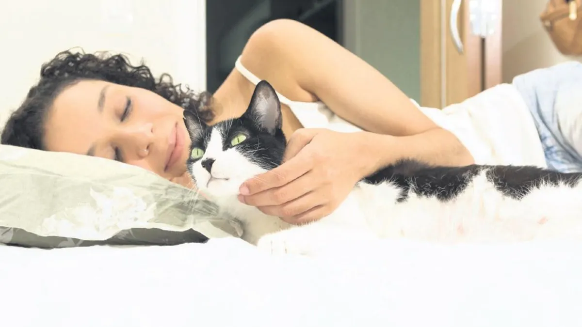 Kedisiyle veya köpeğiyle uyuyanlar dikkat! Kedisiyle veya köpeğiyle uyuyanlar dikkat!
