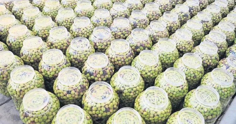 Kadınları zeytin derdinden kurtardı