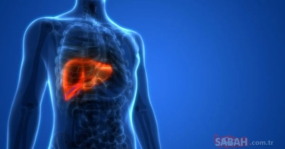 Karaciger Kanseri Belirtileri Nelerdir Tedavisi Var Mi Karaciger Kanseri Neden Olur Evreleri Nelerdir Onlenebilir Mi Saglik Haberleri