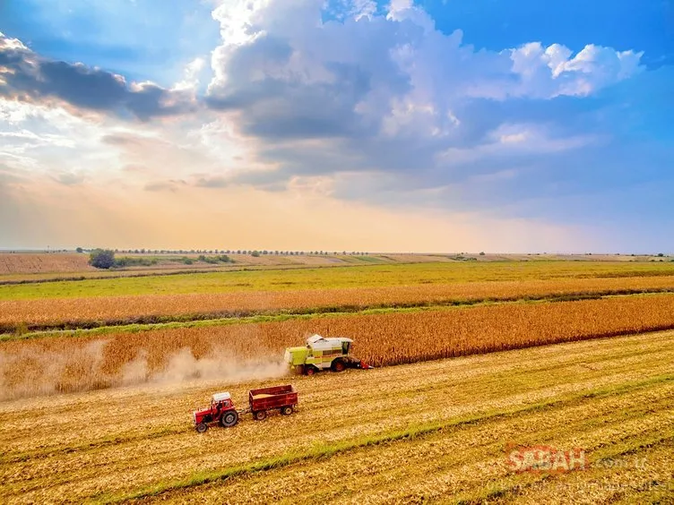 SON DAKİKA: İki yıl ekilmeyen tarım arazileri kiralanacak: Yeni uygulama nasıl olacak?