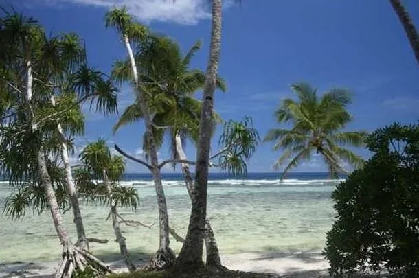 110 liraya tropik adada otel aldılar!