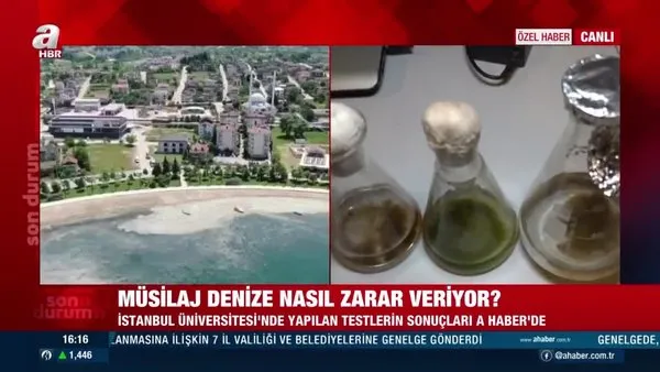 Müsilaj testlerinde şaşırtan sonuçlar! A Haber İstanbul Üniversitesi'ndeki test merkezinde... | Video