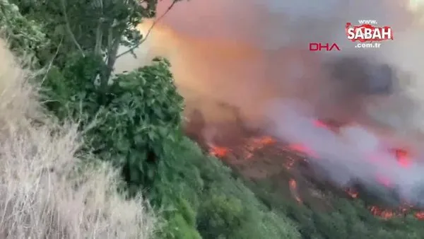 Son dakika | Bursa Kestel'de orman yangını | Video
