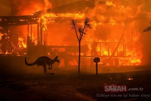 İTÜ’lü uzmandan Avustralya’daki yangın ile ilgili korkutan son dakika açıklaması! ‘Hava sıcaklığını düşürebilir…’