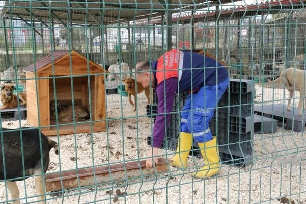 Hatay Büyükşehir Belediyesi, Yayladağı’na yeni hayvan barınağı açıyor