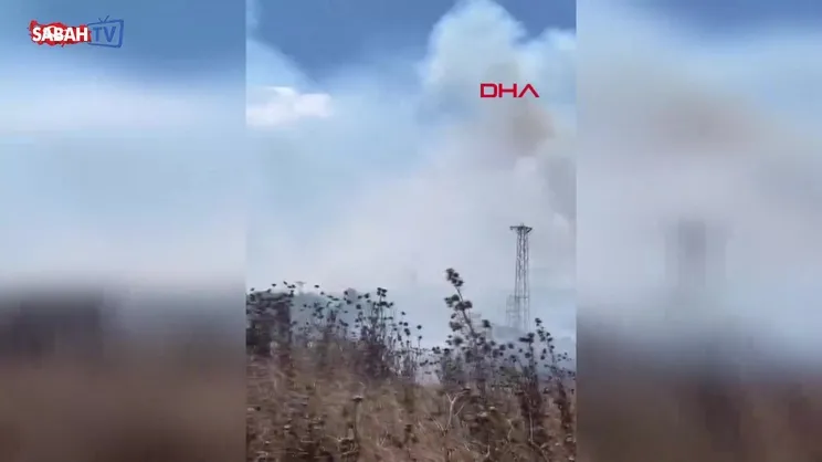 Çatalca'da otluk alanda yangın! | Video