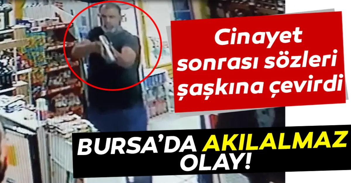 mary jane mayhem fazilet hanım 11 bölüm izle