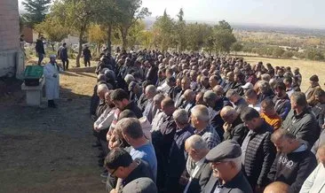 Denizli’de arı sokması can aldı