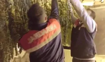 SON DAKİKA HABER: Avcılar’da şok polis baskını! Teras görünümlü uyuşturucu serası