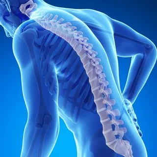 Kemik erimesi nasıl anlaşılır, belirtileri nelerdir? Kemik erimesi (osteoporoz) ağrı yapar mı?