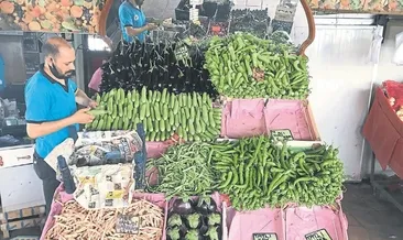 Yaş sebze meyve ihracatı arttı