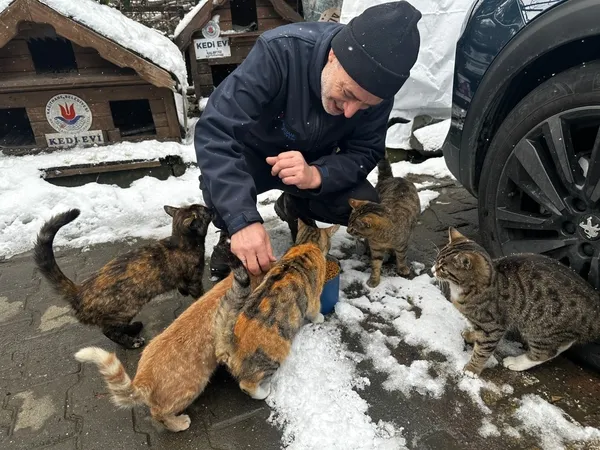 sokak-hayvanlarina-ilce-belediyelerden-destek-1-yilda-10-bin-sokak-hayvani-rehabilite-edildi-1745069981281.jpg