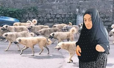 Benim kolum gitti başkalarının canı yanmasın #trabzon