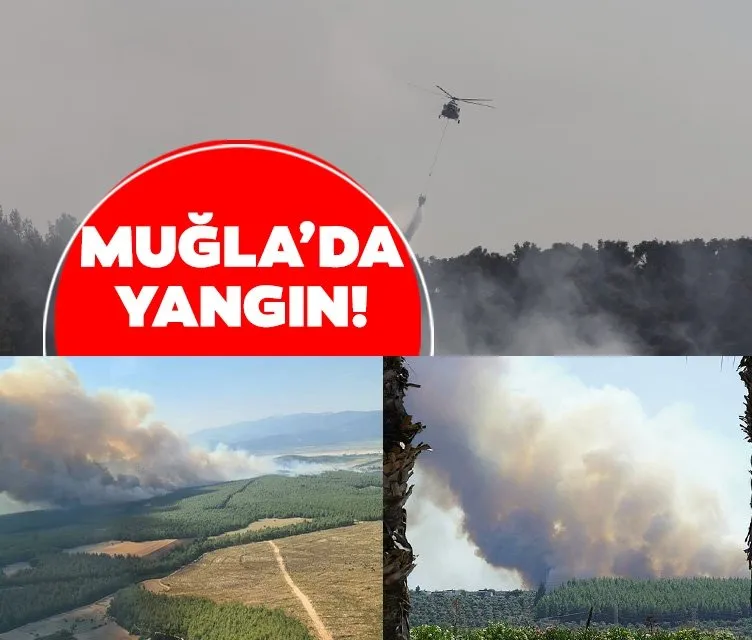 Muğla’da Milas-Bodrum Havalimanı yolunda yangın! Yerleşim alanları tehdit altında: Tahliyeler başladı