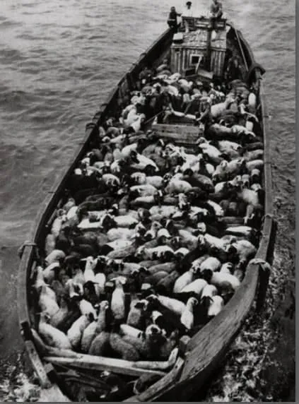 Leonidas Mikropoulos'un İstanbul fotoğrafları