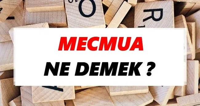 Mecmua Ne Demek? TDK’ya Göre Mecmua Sözlük Anlamı Nedir?